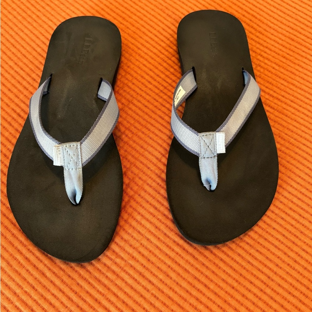 L.L. Bean Black and Blue Sandals